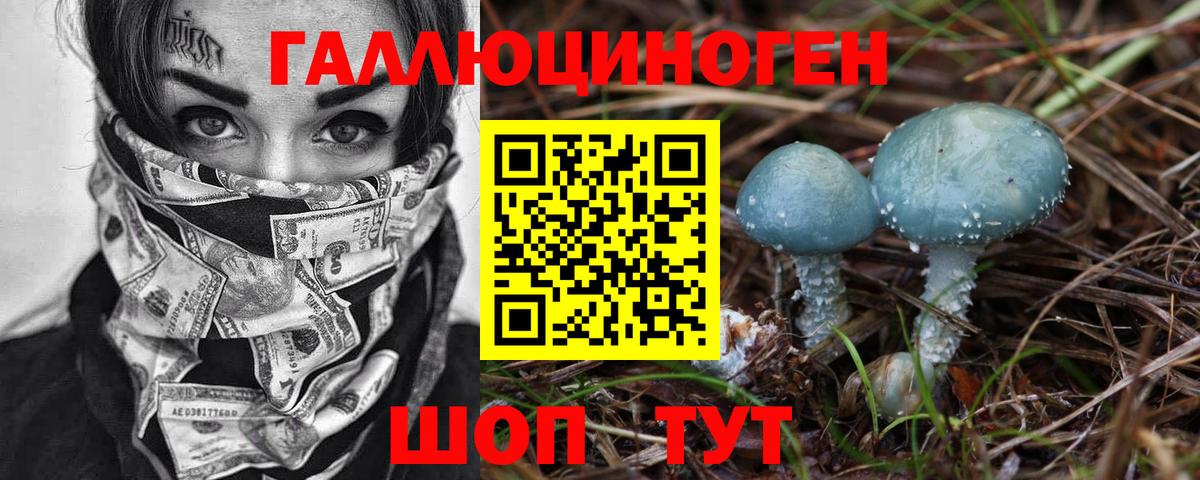 Камышин  Псилоцибиновые грибы Psilocybine cubensis  Вход с VPN 